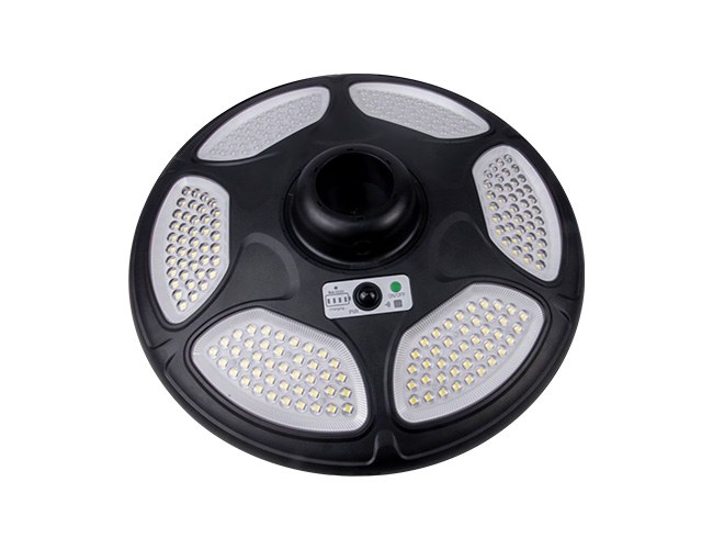 Lumières solaires de jardin
